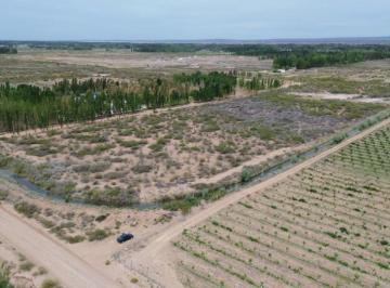 Terreno · 60000m² · 5 Hectárea en Venta en China Muerta