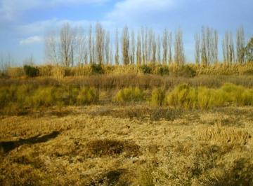Terreno · 19008m² · Venta de Lote. Corralitos. Guaymallen.