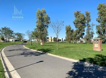 Terreno · 518m² · Terreno en Venta en Santo Tomas Pilar 518 m² Lote Central Acepta Financiacion