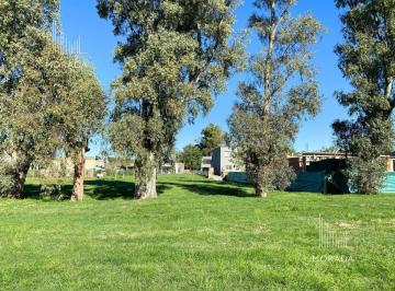 Terreno · 517m² · Terreno en Venta en Santo Tomas Pilar 517 m² Lote Central Acepta Financiacion
