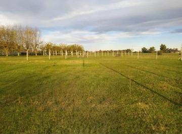 Terreno · 952m² · Venta de Terreno - Villa Moll (Navarro)