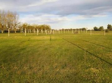 Terreno · 952m² · Venta de Terreno - Villa Moll (Navarro)