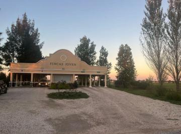 Terreno , San Vicente · Venta de Lotes – Fincas de San Vicente Joven