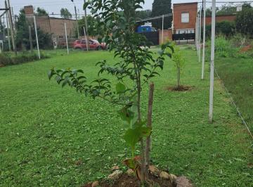 Terreno en Venta  Luján · Vendo Terreno en Barrio Lanusse
