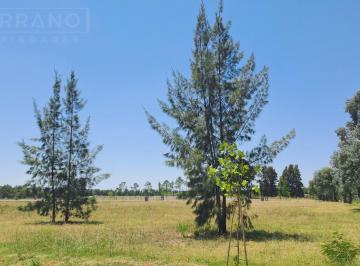 Terreno · 1290m² · Venta Terreno 1290 m² Cardales Hills Exaltación de La Cruz