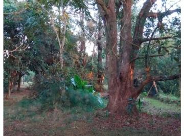 Terreno , Garupá · Lote en Garupá, Grande, Arbolado