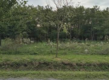 Terreno · 1140m² · Lote en Venta Samborombon Brandsen