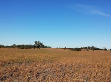 JMZ-JMZ-244_2 · Campo Zárate 47 Ha