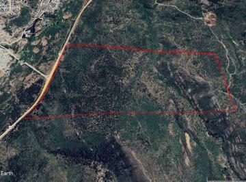 JMZ-JMZ-215_2 · Campo Bariloche 122 Ha