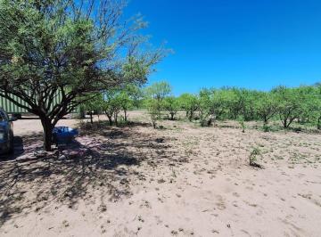 Campo · 80000m² · Campo en Venta Bañado de Soto