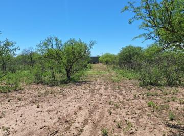 Campo · 80000ha · Campo en Venta Bañado de Soto