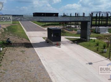 Terreno · 1500m² · Oportunidad en Punto 53 | Lote 1.600 m² a Usd 55/m²