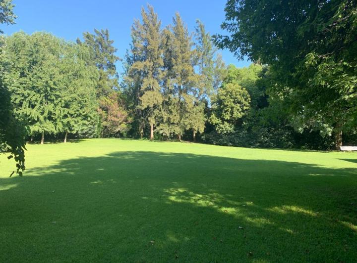 Terreno · 801m²