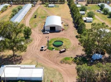 Campo · 1132m² · Campo - Norberto de La Riestra