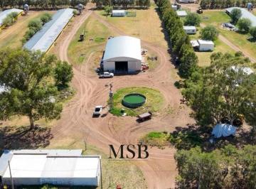 Campo · 1132m² · Campo - Norberto de La Riestra