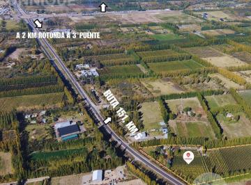 Campo · 52000m² · Chacra Cipolletti Ruta 151