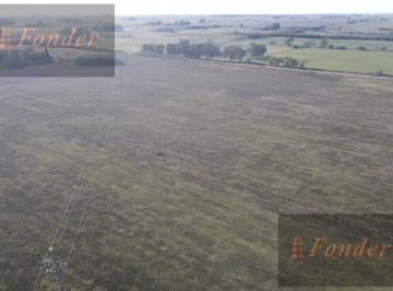 Campo · 26ha · Campo 26 Ha en Lincoln - Buenos Aires