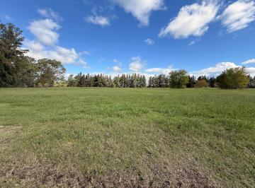 Terreno · 1500m² · Terreno Lote en Venta en Pinares Cc, Exaltación de La Cruz, G. B. a. Zona Norte