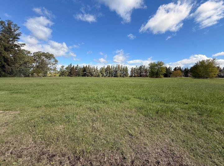 Terreno · 1500m²