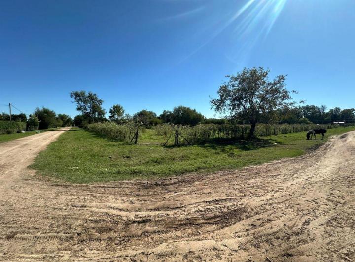 Terreno · 2495m²