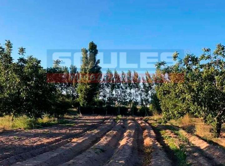 Campo · 20m²