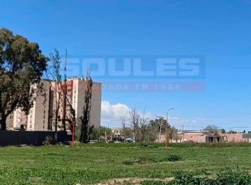 Terreno , Cinco Saltos · Loteo Barrio Los Robles