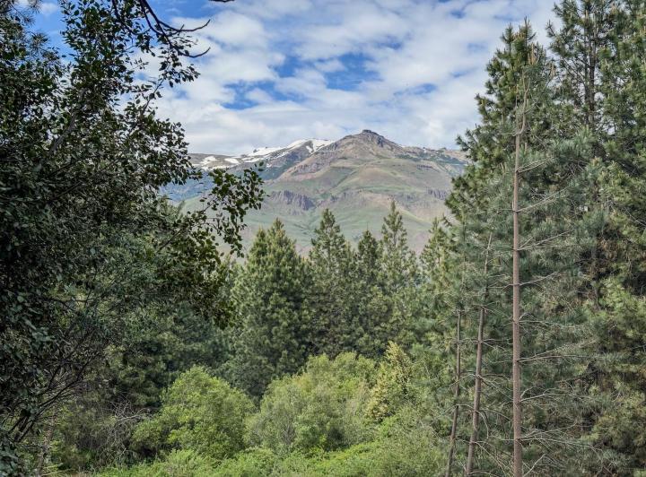 Terreno · 2500m²