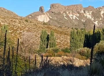Campo , San Martín de los Andes · Campo en Venta 212 Has - Rn 40 Km 2231 - San Martín de Los Andes - Frente a Aeropuerto Chapelco