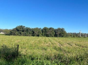 Terreno , Pilar · Venta Lote en Pilar S/rp 13 - Cordoba