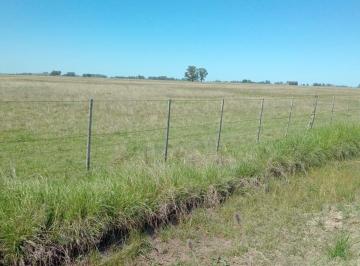 Campo · 490000m² · Campo en Rauch 49 Ha en Venta