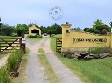 Terreno , Luján · Terreno / Lote en Venta de 10000 m² Ubicado en Loma Escondida