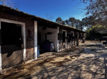 Bodega-Galpón de 14 ambientes, Luján · Galpón en Venta de 3000 m² Ubicado en Open Door