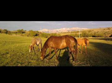 Terreno Venta 400000m²  · Vendo 2 Ha y 4 Ha Sobre Ruta 3 Km Antes de Llegar a Trevelin