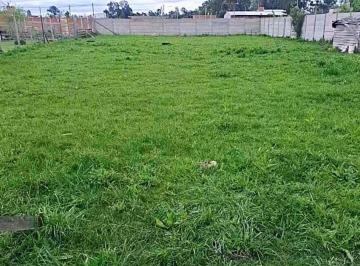 Terreno · 500m² · Venta Lote 500 m² en Glew