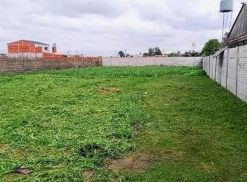 Terreno · 1000m² · Venta Dos Lotes 1000 m² en Presidente Perón Glew