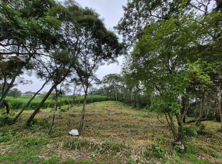 Terreno · 2996m²