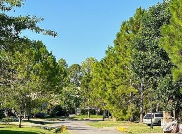 excelente forestación · Terrenos Posesión Inmediata