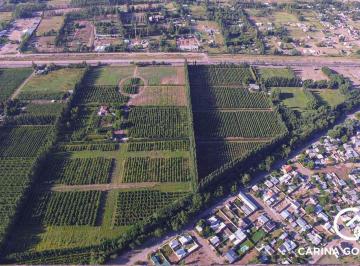 Terreno · 360m² · Loteo Manzanar de Plottier, Sobre Ruta 22.