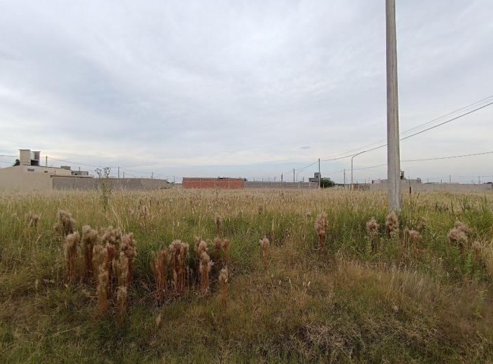 Terreno · 280m²