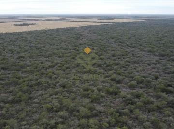 Campo · 170000000ha · 17.000 Has - Ideal Para Desarrollar