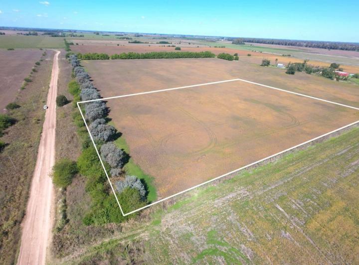 Campo · 50000m²