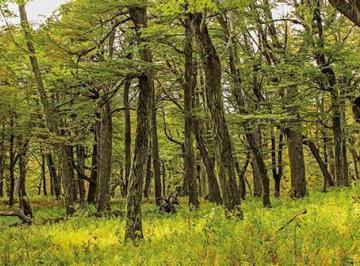 Terreno · 1000000m² · Venta de 300 Hectáreas en Bariloche