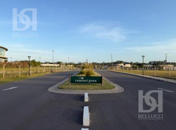 Terreno · 813m² · Terreno en Venta// Rumenco Joven