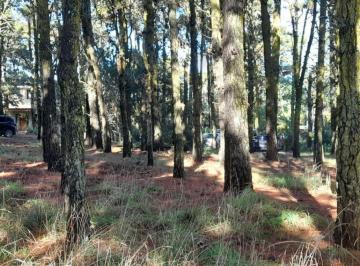 Terreno , Mar de las Pampas · Lote Mar de Las Pampas