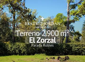 Terreno · 2900m² · Terreno en Venta, Barrio El Zorzal, Parada Robles