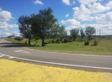 Campo · 237m² · 1 Ambiente · Campo Mixto en Venta San Francisco del Chañar