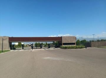 Casa de 12 ambientes, Chacras de Coria · Suarez & Ortega Inmobiliaria Vende Casa en Barrio Privado Rincon Viamonte Lujan de Cuyo