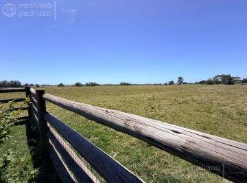 Campo · 40m² · 2 Ambientes · Chacra en San Carlos