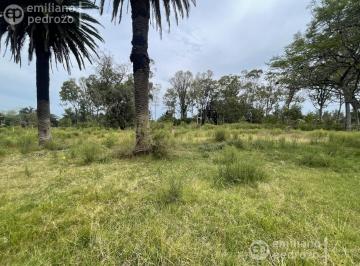 Terreno · 10250m² · Venta Terreno Punta del Este