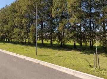 Terreno · 600m² · En Venta Terreno 600 m² Eco Lagos